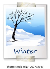 Illustration of a tree covered with snow