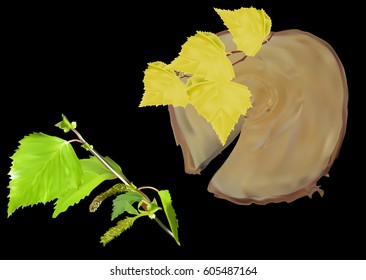 illustration with tree cross section and leaves isolated on black background