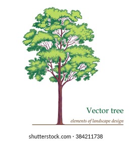 Illustration tree in different seasons. Element of landscape design.