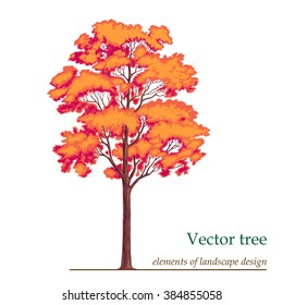 Illustration tree in different seasons. Element of landscape design.