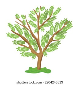 An illustration of tree flat editable vector