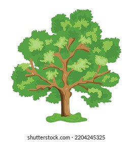 An illustration of tree flat editable vector