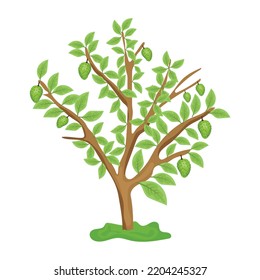 An illustration of tree flat editable vector