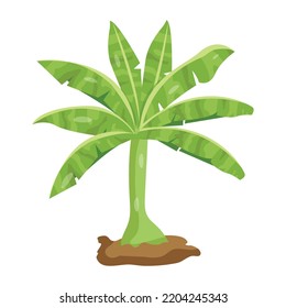 An illustration of tree flat editable vector