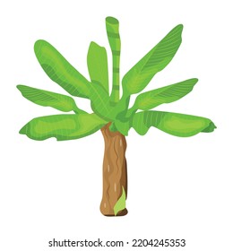 An illustration of tree flat editable vector