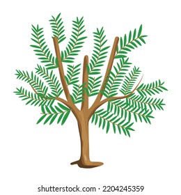 An illustration of tree flat editable vector