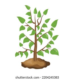 An illustration of tree flat editable vector