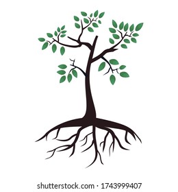 
illustration of a tree in a flat style.