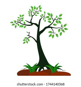 
illustration of a tree in a flat style.