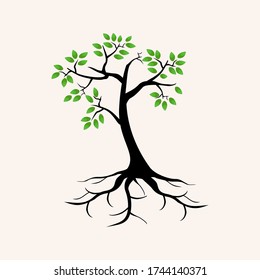 
illustration of a tree in a flat style.