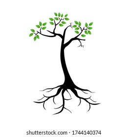 
illustration of a tree in a flat style.