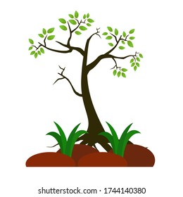 
ilustración de un árbol en un estilo plano.