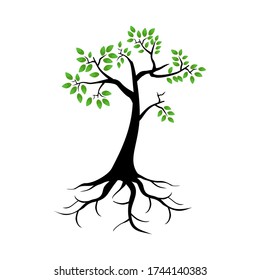 
illustration of a tree in a flat style.