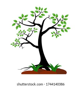 
ilustración de un árbol en un estilo plano.