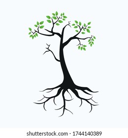 
illustration of a tree in a flat style.