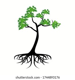 illustration of a tree in a flat style.