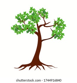 illustration of a tree in a flat style.
