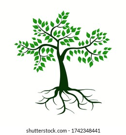 
illustration of a tree in a flat style. ecological theme