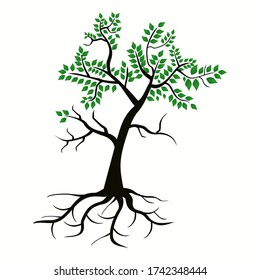 Tree Silhouette Stock Vector (Royalty Free) 257176768