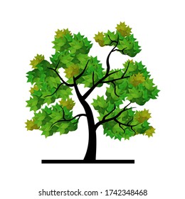 
ilustración de un árbol en un estilo plano. tema ecológico