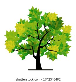 
illustration of a tree in a flat style. ecological theme