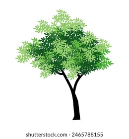 

Illustration eines Baumes in einem flachen Stil, auf einem weißen Hintergrund gemacht. Umfasst Blatt-, Zweig- und Baumdesigns. Grüne Vektorgrafik. Elementdesign für natürliche, umweltfreundliche