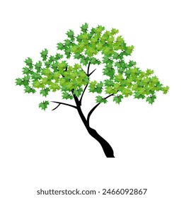 ilustración de un árbol en un estilo plano, hecho sobre un fondo blanco. incluye diseños de hojas, ramitas y árboles. Vector de árbol verde.
