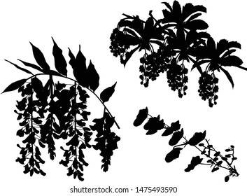 illustration with tree flowers silhouettes on white background