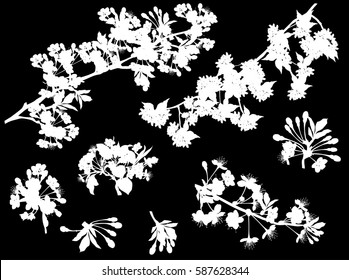illustration with tree flowers silhouettes on black background