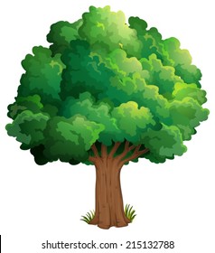 Illustration of a tree at the forest on a white background