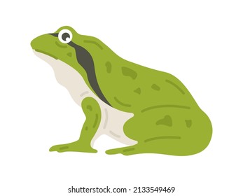 Illustration of a tree frog seen from the side.