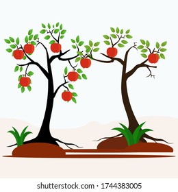 
ilustración de un árbol en un jardín de frutas, en un estilo plano. el árbol de Apple