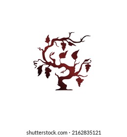 Illustration of a tree and grape branches