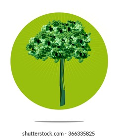 Illustration of a tree with green circle background