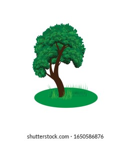 illustration of tree and green grass shape design