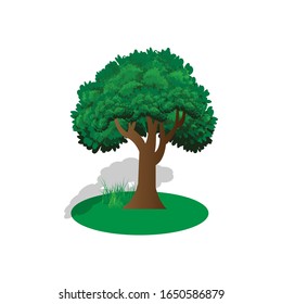 illustration of tree and green grass shape design