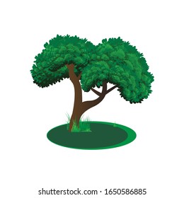 illustration of tree and green grass shape design