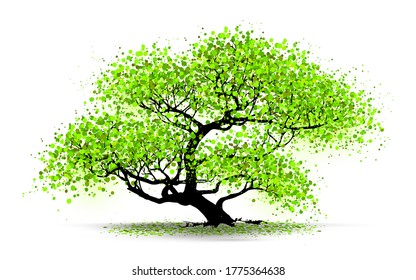 Illustration  Tree Isolated on White Background