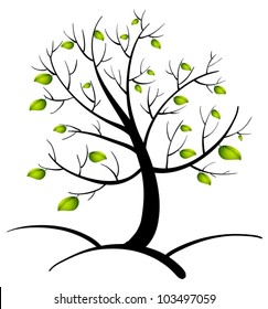 Illustration of the tree of life
