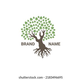 illustration Tree life logo template