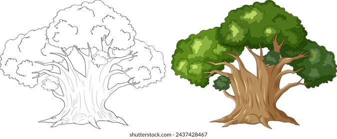 Illustration of a tree, from line art to colored