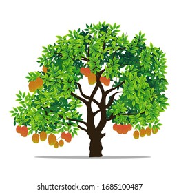 illustration of tree and mango, vector