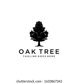Illustration Tree Oak nature logo design vintage vector 