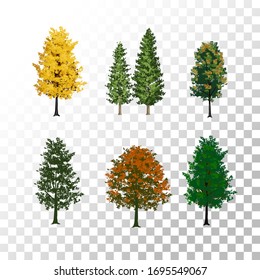 Illustration tree on transparent background background