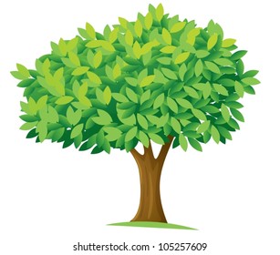 ilustración de un árbol en un fondo blanco