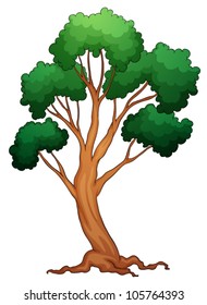 ilustración de un árbol en un fondo blanco