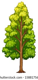 Illustration of a tree on a white background