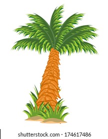 Illustration tree palm on white background insulated