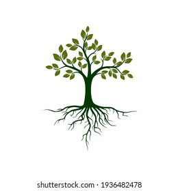 Illustration Tree with Roots on white background