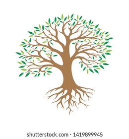 Illustration tree with roots vector